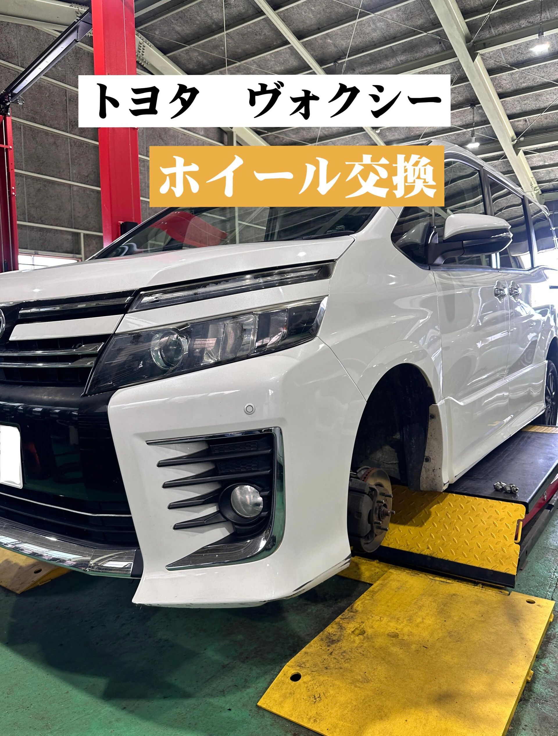 画像11242