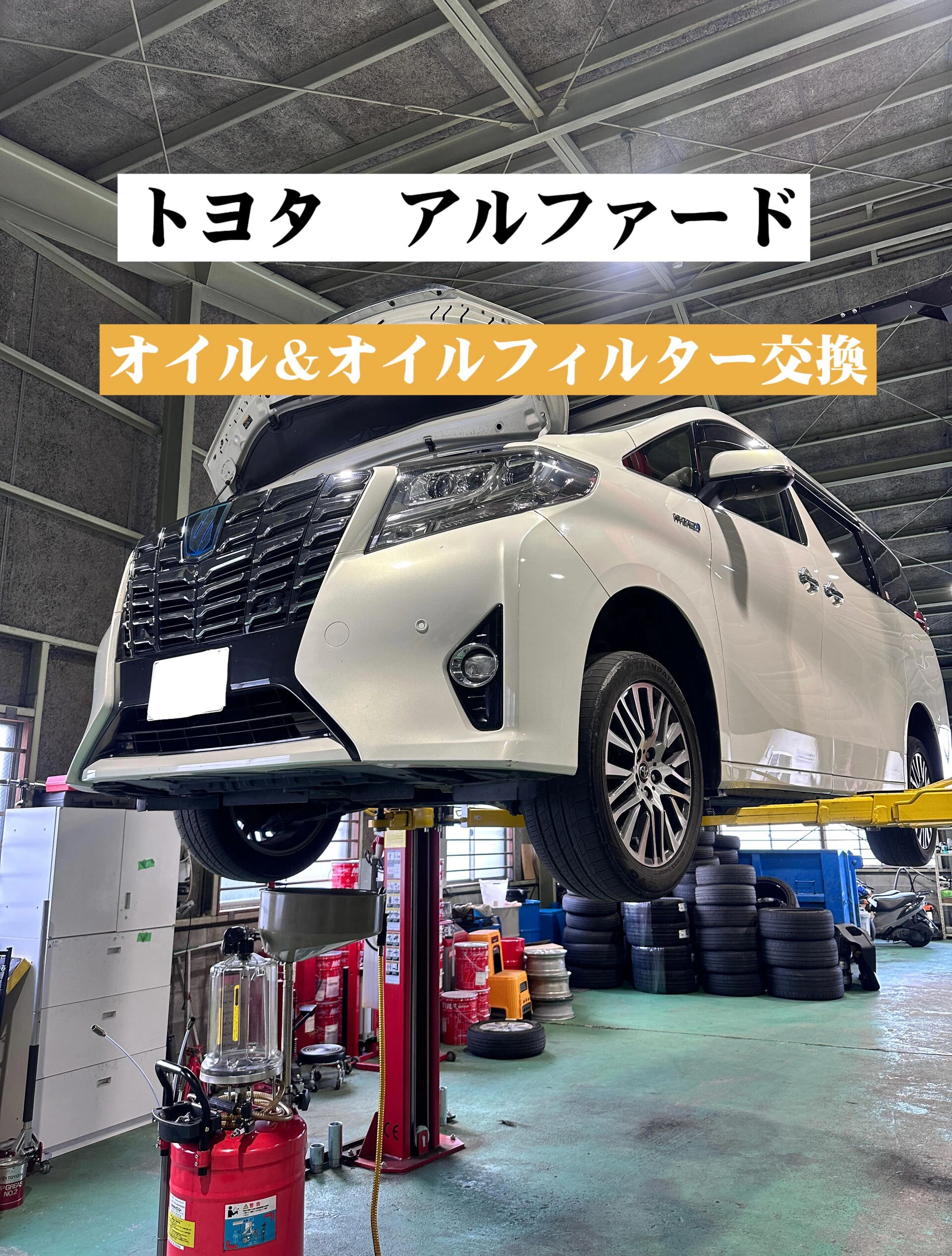 画像11250