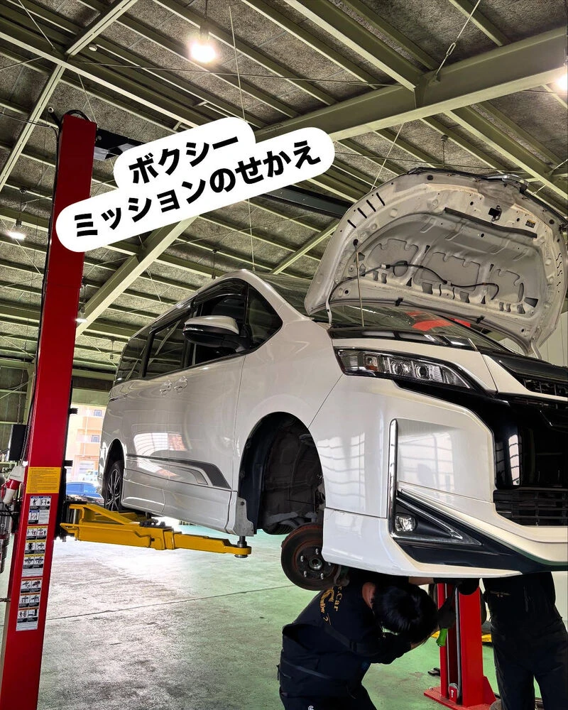 ブログ画像
