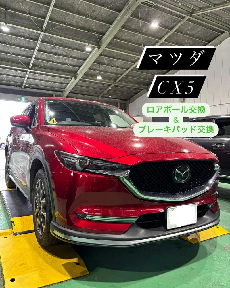 ブログ画像